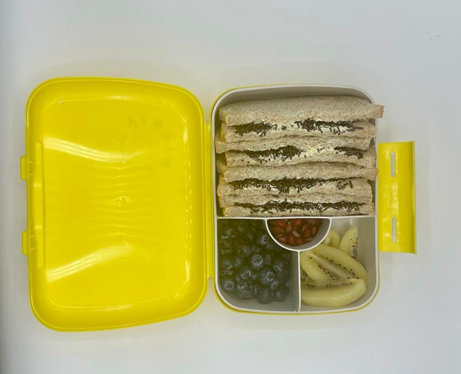 NjaNja gezonde lunchbox op school geleverd: Njanja-brooddoos-boterham hagelslag-blauwe bessen-kiwi-granaatappelpitjes-recht